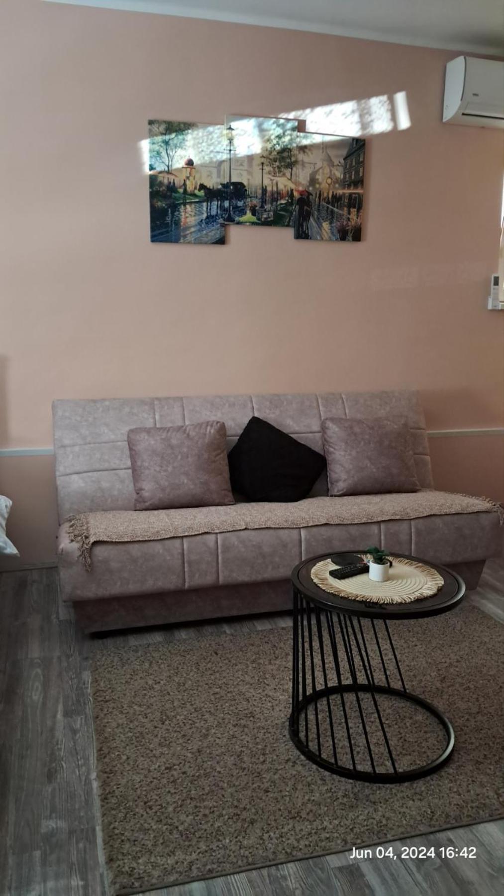 Apartman Iva Zaječar Esterno foto